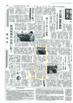 nikkan20090228-thumbnail2